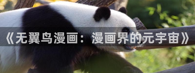 韩漫漫画推荐：《无翼鸟漫画：漫画界的元宇宙》