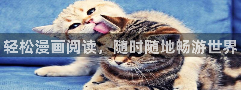 韩漫世上没有简单的攻略免费观看：轻松漫画阅读，随时随地畅游世界
