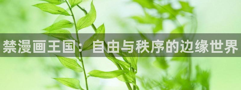 韩漫无遮羞免费在线观看：禁漫画王国：自由与秩序的边缘世界