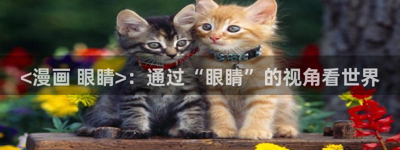 韩漫免费下拉式漫画在线阅读：<漫画 眼睛>：通过“眼睛”的视角看世界