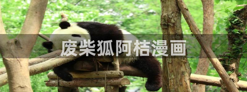 韩漫无删减版在线免费观看：废柴狐阿桔漫画