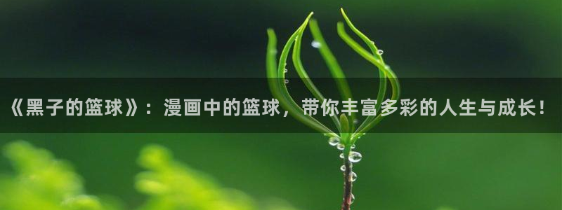 歪歪韩漫入口：《黑子的篮球》：漫画中的篮球，带你丰富多彩的人生与成长！