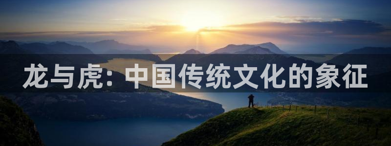 韩漫画网在线观看：龙与虎: 中国传统文化的象征