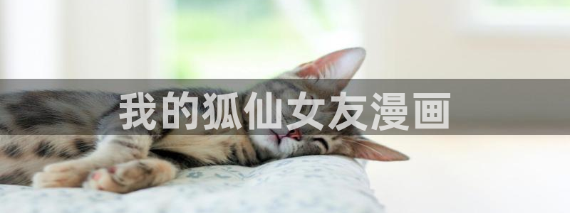 韩漫网站视频：我的狐仙女友漫画