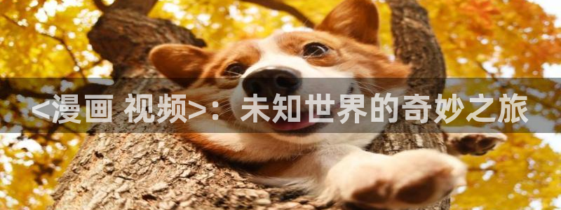 成人性漫画韩漫
