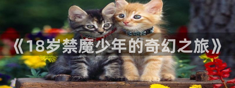 韩漫免费漫画无遮挡免费