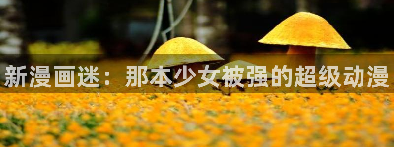 在哪可以免费看韩漫