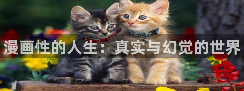 基斯德拉漫画韩漫