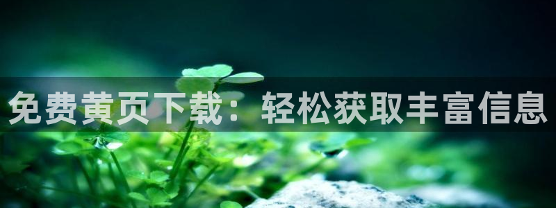 看韩漫的漫画：免费黄页下载：轻松获取丰富信息